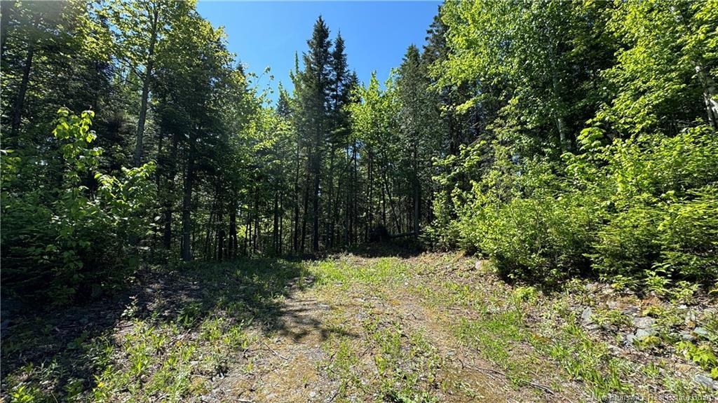 62 De La Falaise St, Edmundston, NB