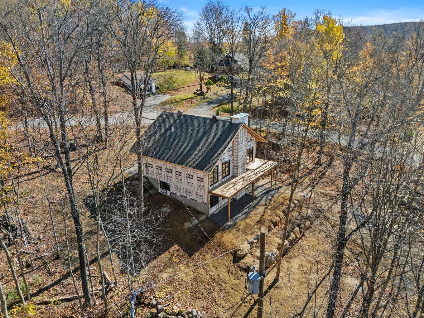 Vue d'ensemble - Rue Paulsen, Sainte-Agathe-Des-Monts, QC - Outdoor With View