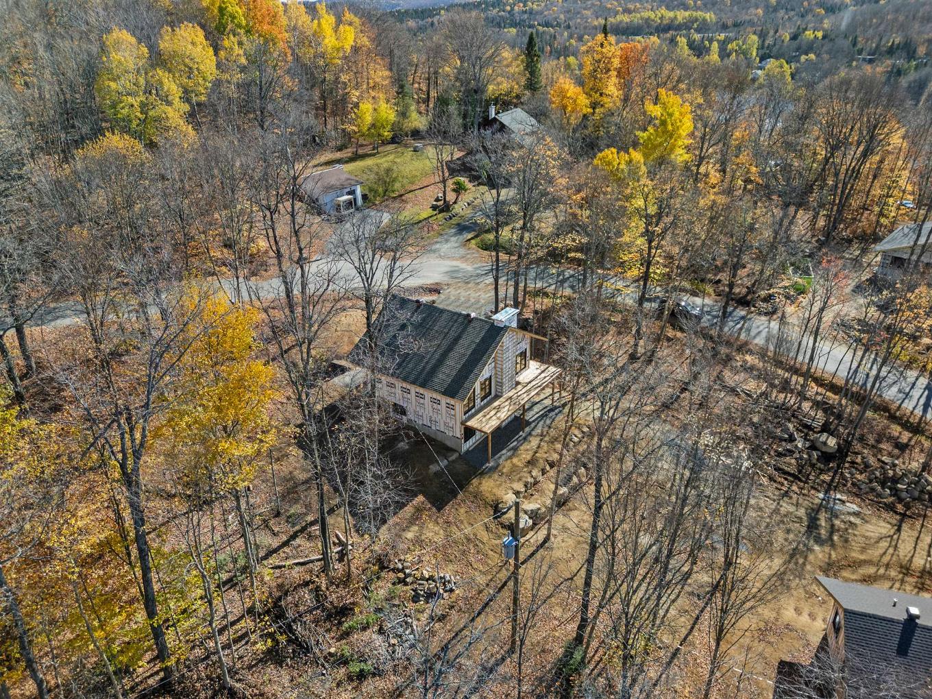 Vue d'ensemble - Rue Paulsen, Sainte-Agathe-Des-Monts, QC - Outdoor With View