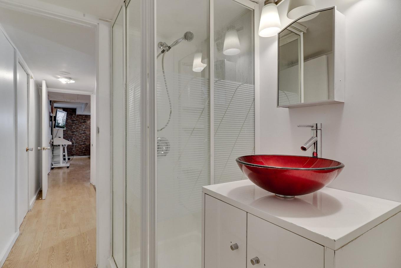 Bathroom - 3300 - 3302 Rue French, Montréal (Mercier/Hochelaga-Maisonneuve), QC - Indoor Photo Showing Bathroom