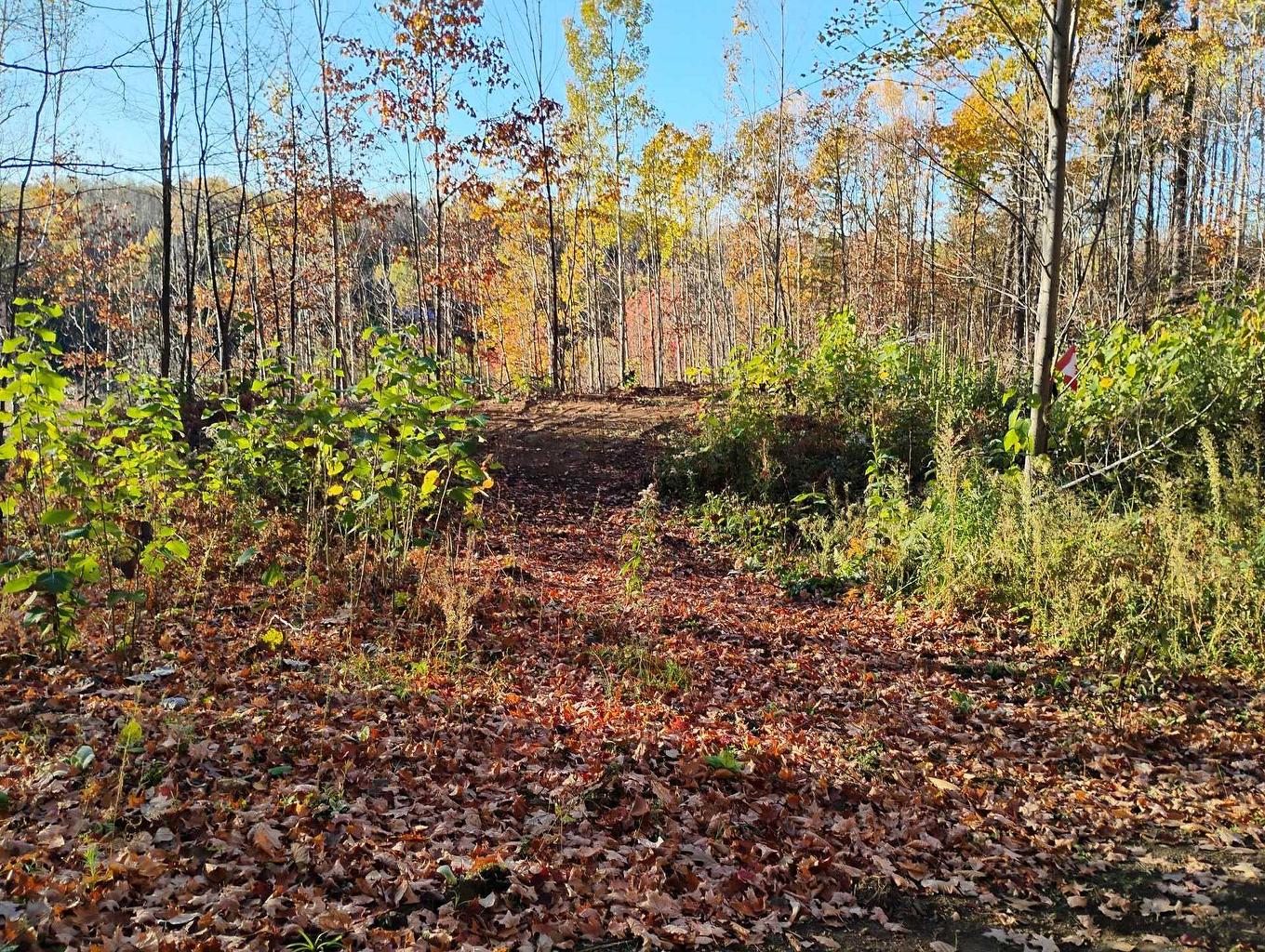 Land/Lot - Ch. De Cawood, Alleyn-Et-Cawood, QC