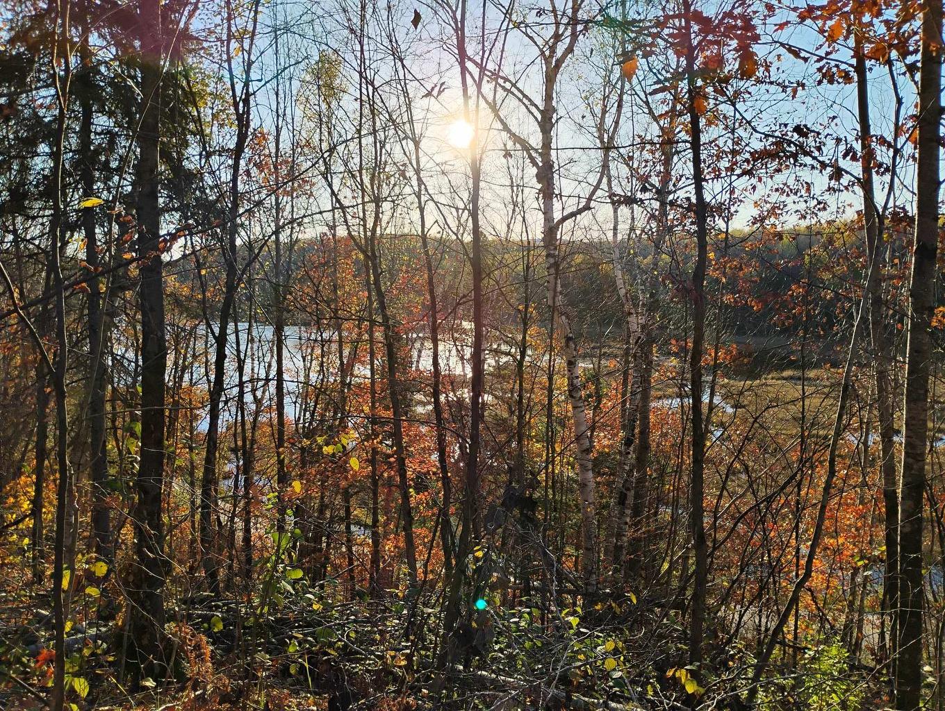 Land/Lot - Ch. De Cawood, Alleyn-Et-Cawood, QC