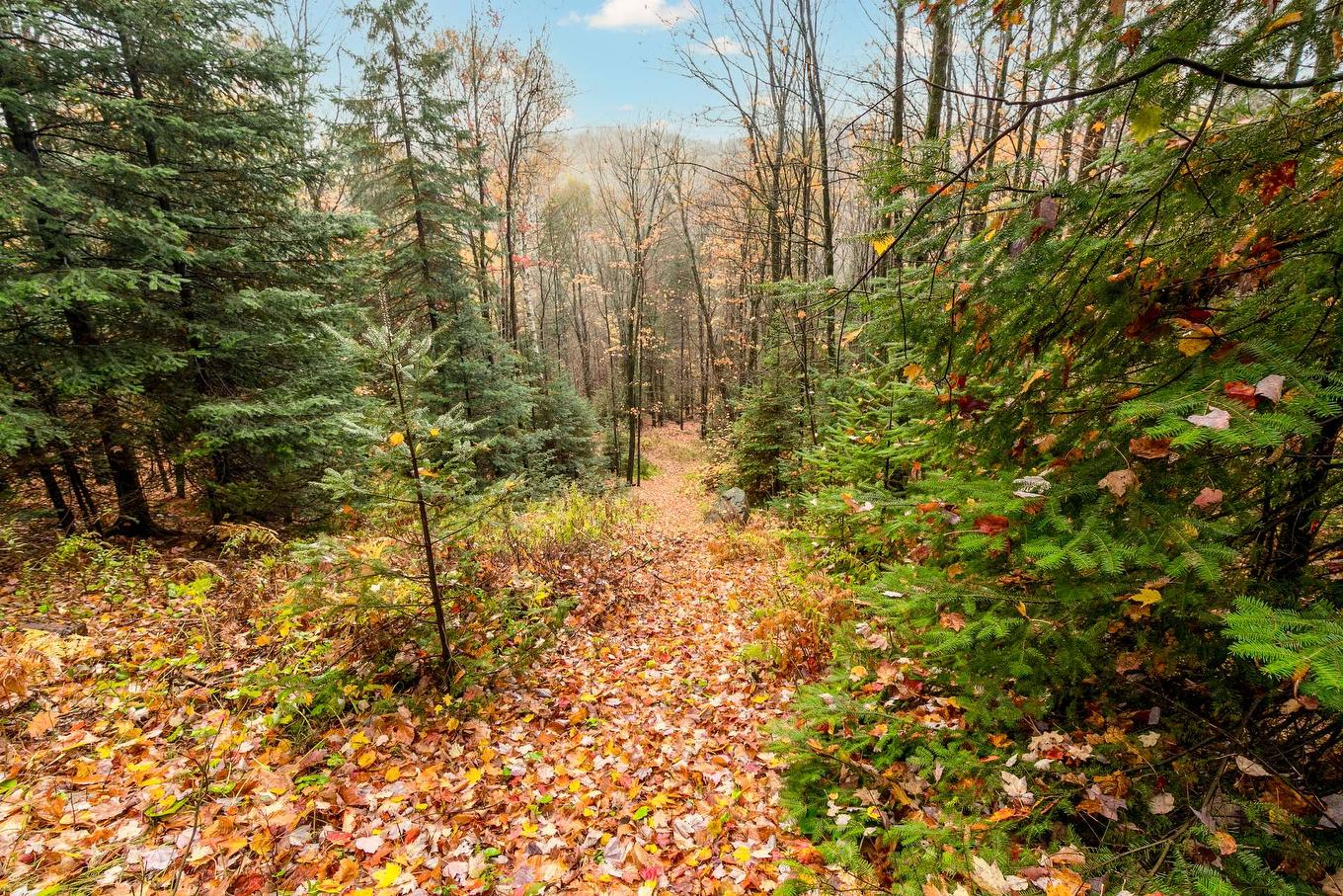 Vue d'ensemble - 87 Ch. Des Couleurs, Saint-Sauveur, QC - Outdoor