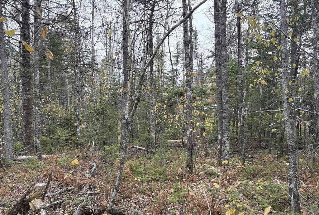 Lot 2 Highway 8, Harmony, NS