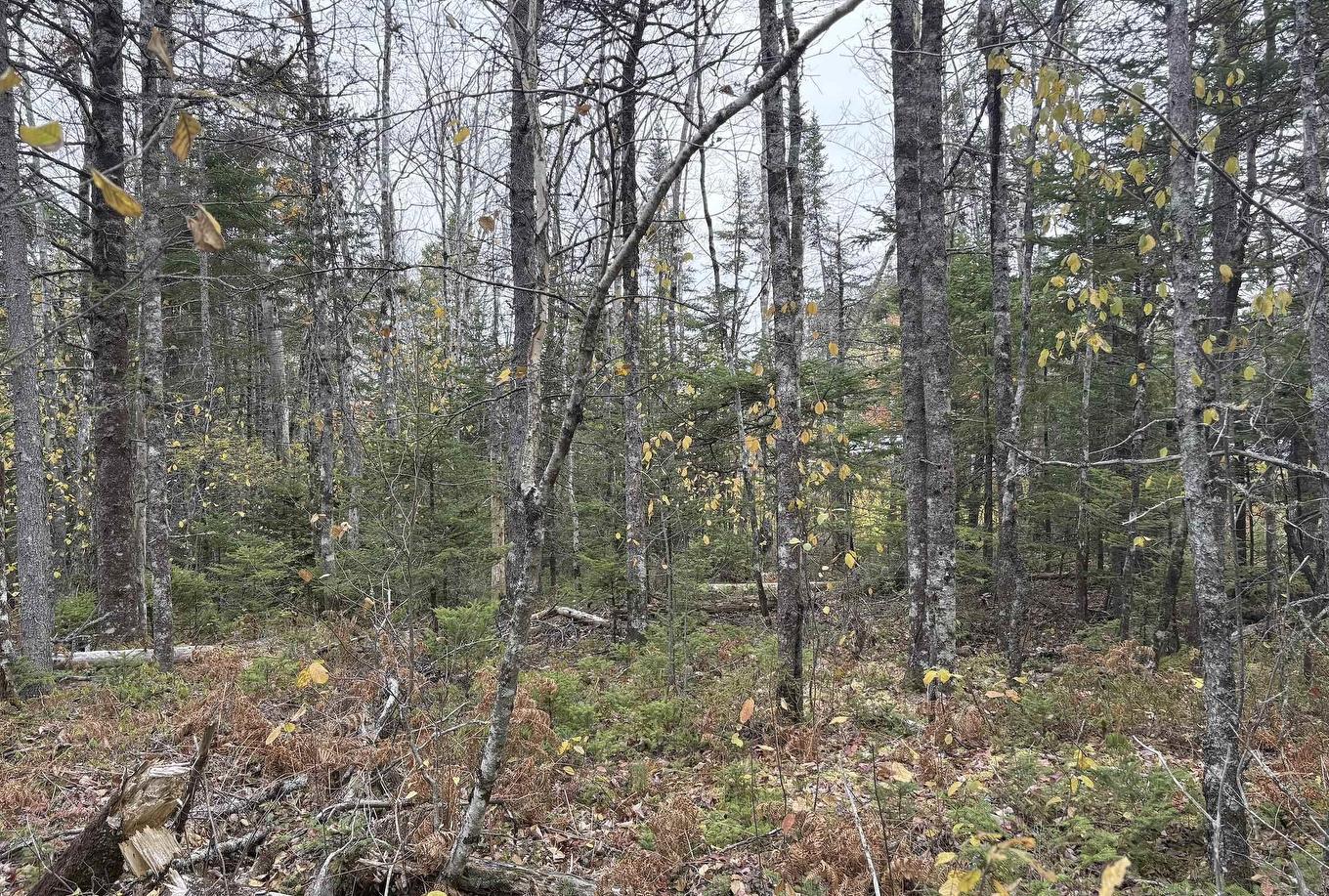 Lot 2 Highway 8, Harmony, NS