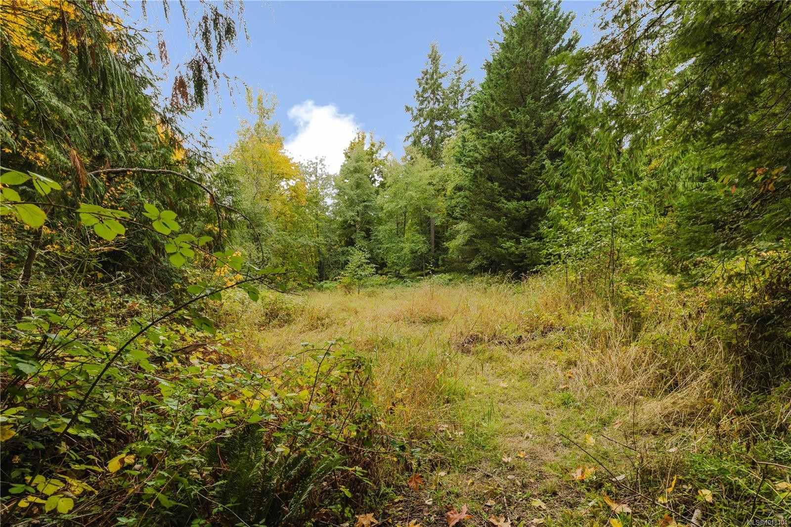 3778 Kingburne Dr, Cobble Hill, BC