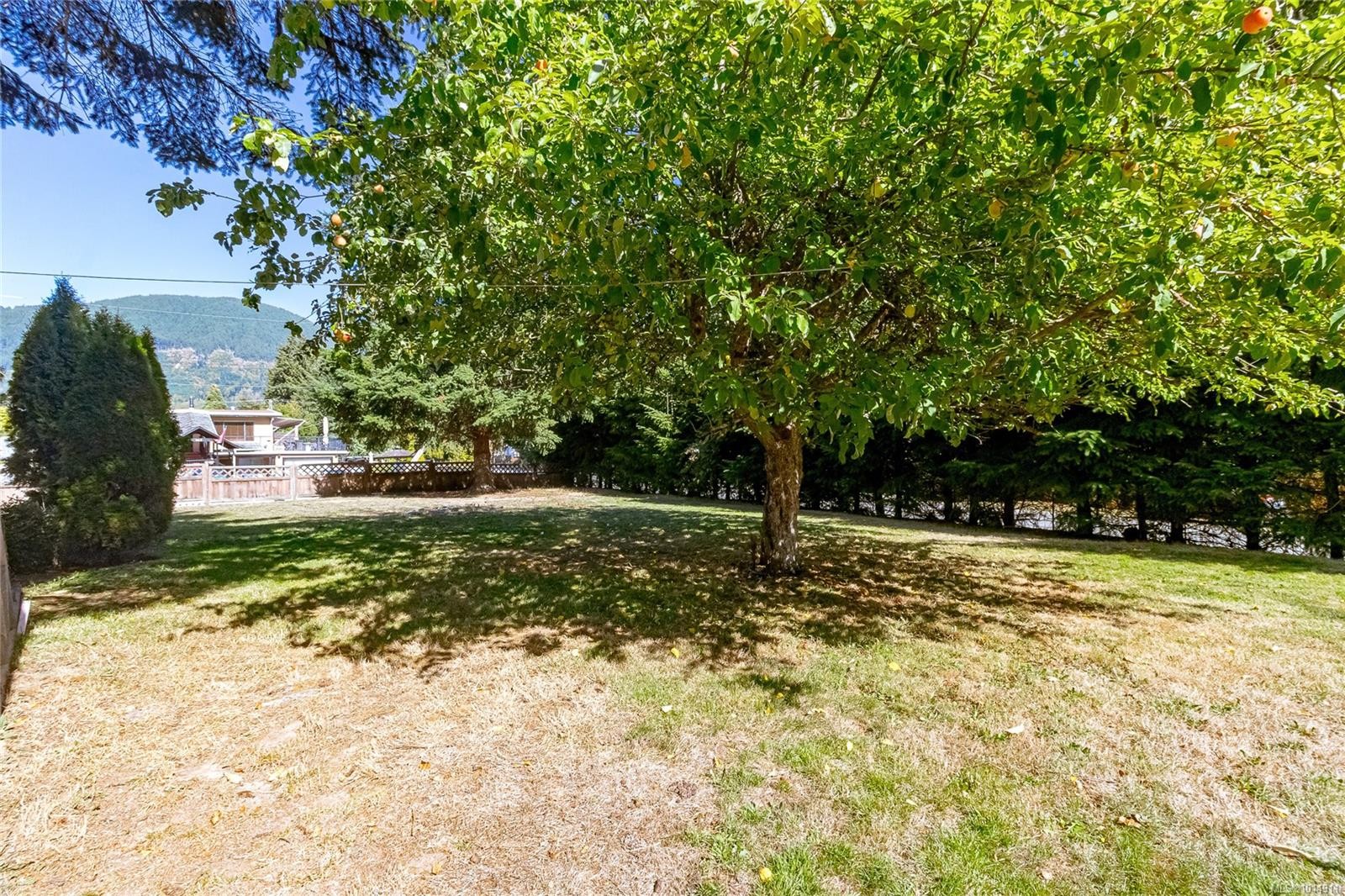 160 Comiaken Ave, Lake Cowichan, BC