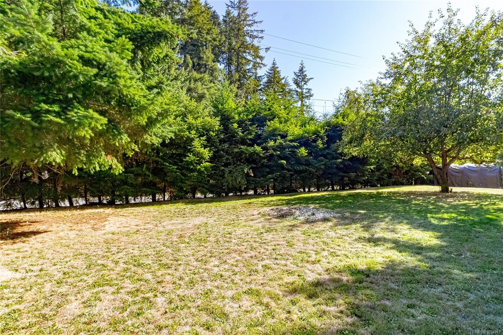 160 Comiaken Ave, Lake Cowichan, BC