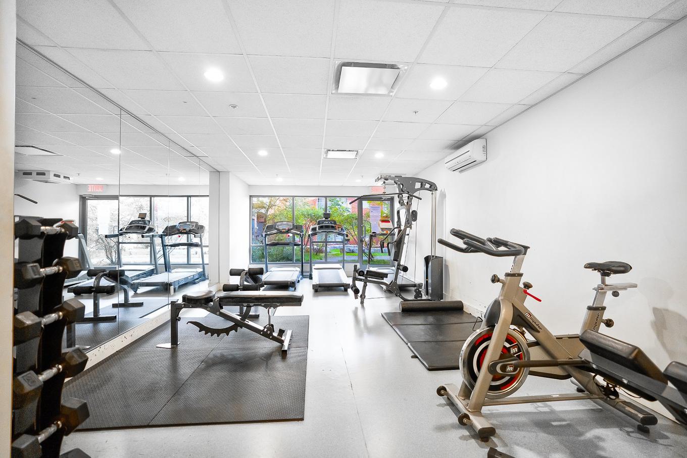 Exercise room - 107-1248 Av. De L'Hôtel-De-Ville, Montréal (Ville-Marie), QC - Indoor Photo Showing Gym Room