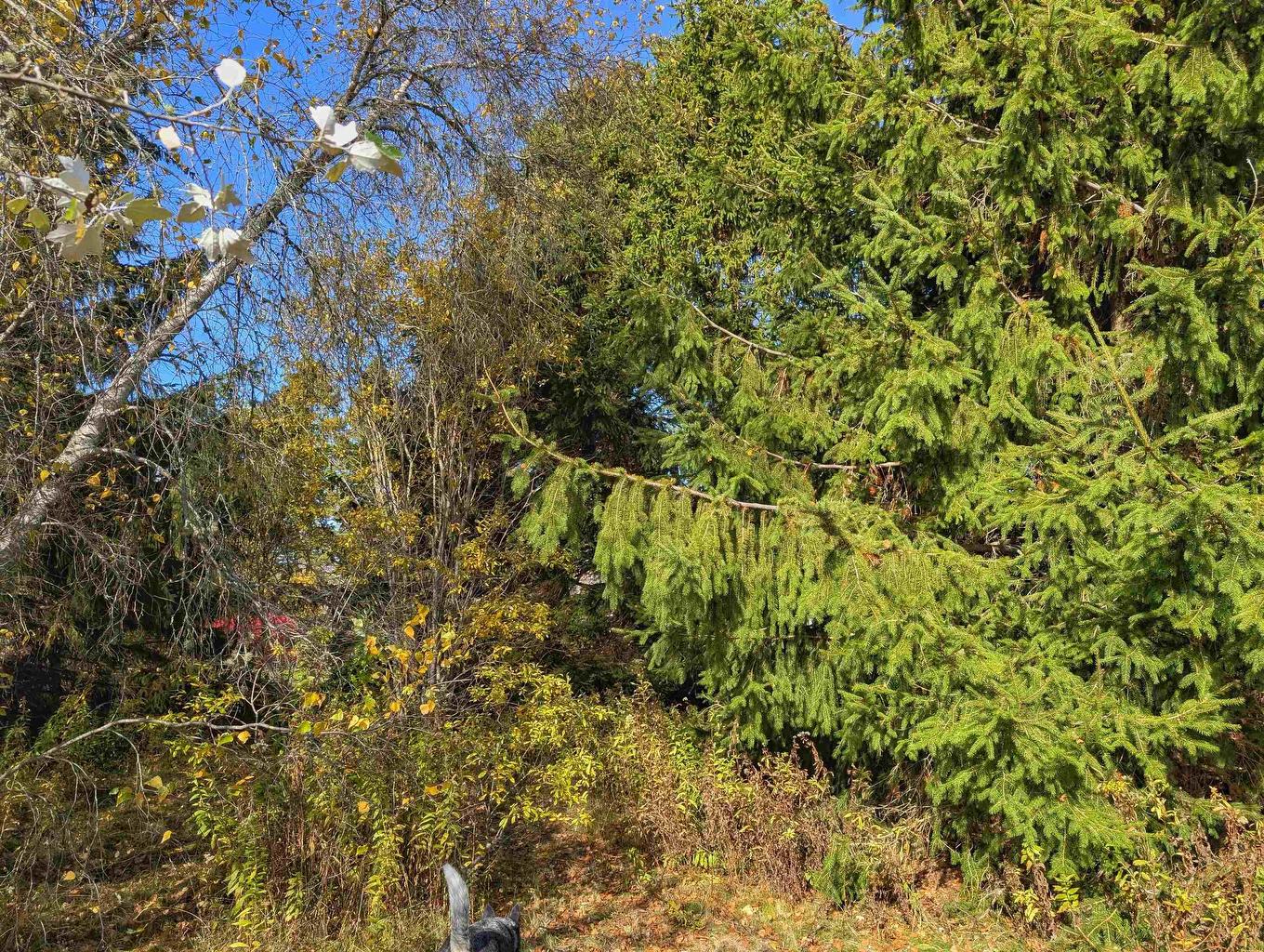 246 West Brooklyn Road, West Brooklyn, NS