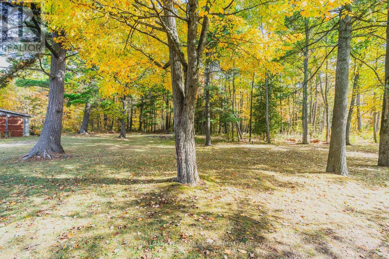 332 Baxter Loop Road, Georgian Bay, ON - Outdoor With View