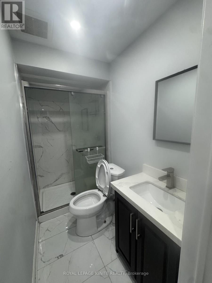 Bsmt - 1181 Stire Street, Oshawa, ON - Indoor Photo Showing Bathroom