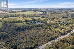 Long driveway surrounded by trees -