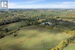 Approx 40 Acres of farmable land -