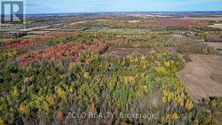 Looking at the property facing North. -