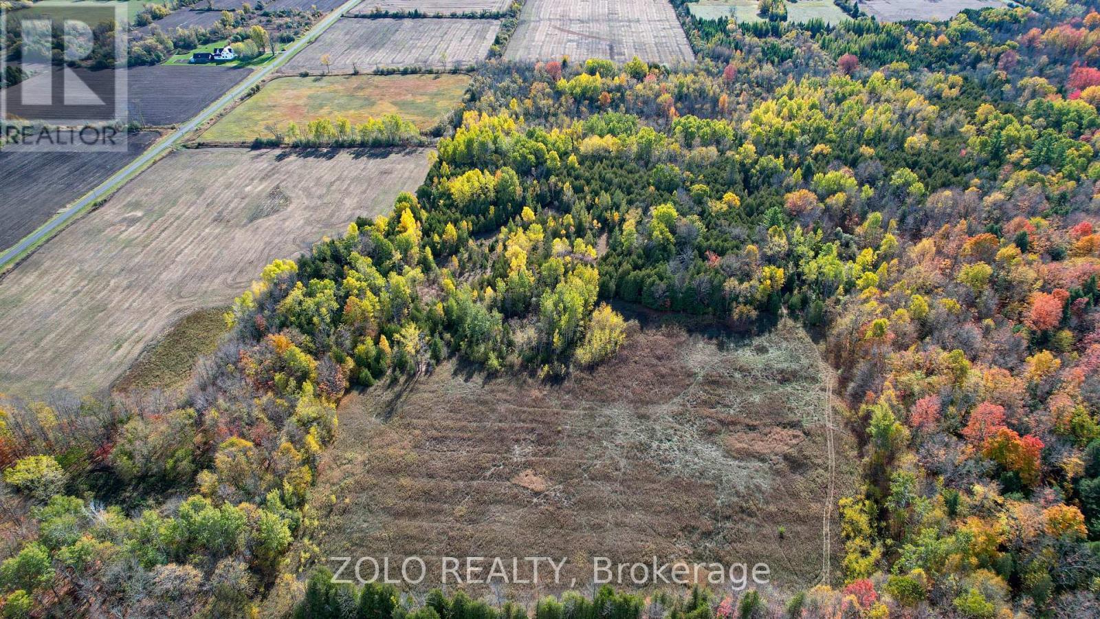 Middle cleared section of property. - 000 Salmon Road, South Dundas, ON