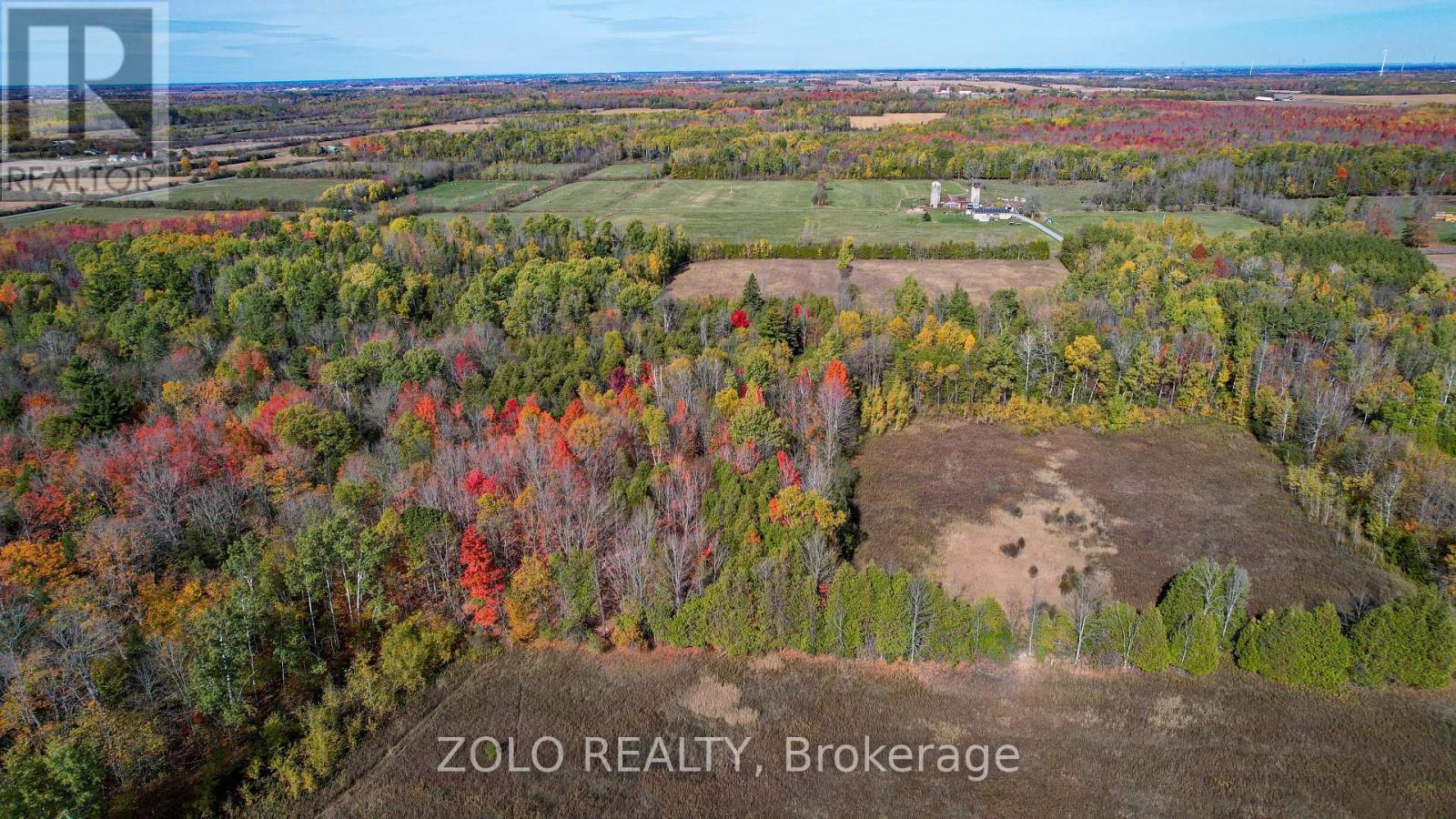 Looking North at portion of property. - 000 Salmon Road, South Dundas, ON