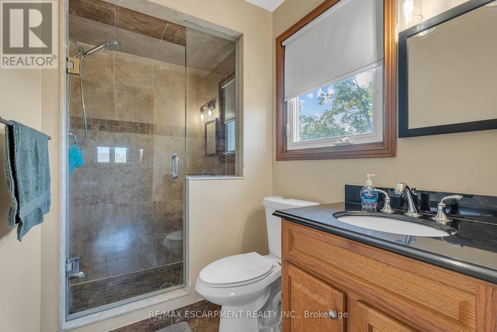 2 Vinehill Drive, Hamilton, ON - Indoor Photo Showing Bathroom
