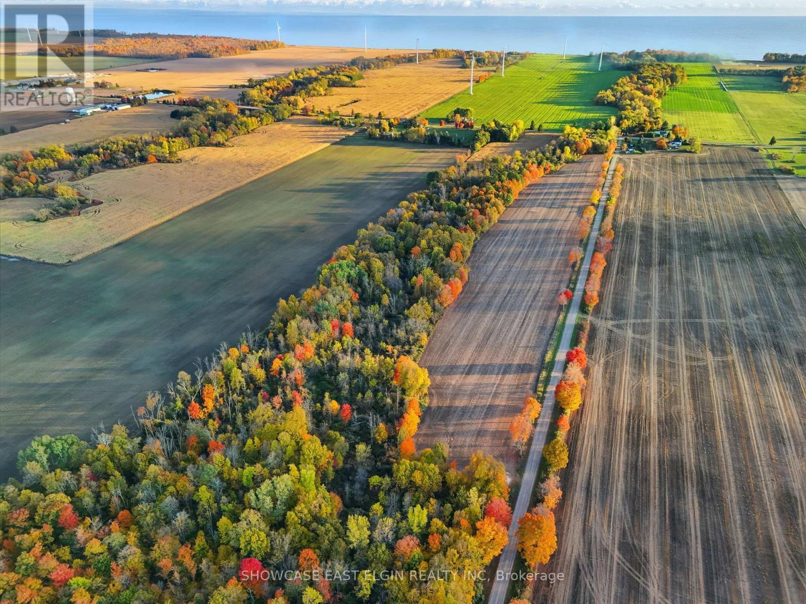 Looking south towards Lake Erie - 5232 Sawmill Road, Malahide, ON