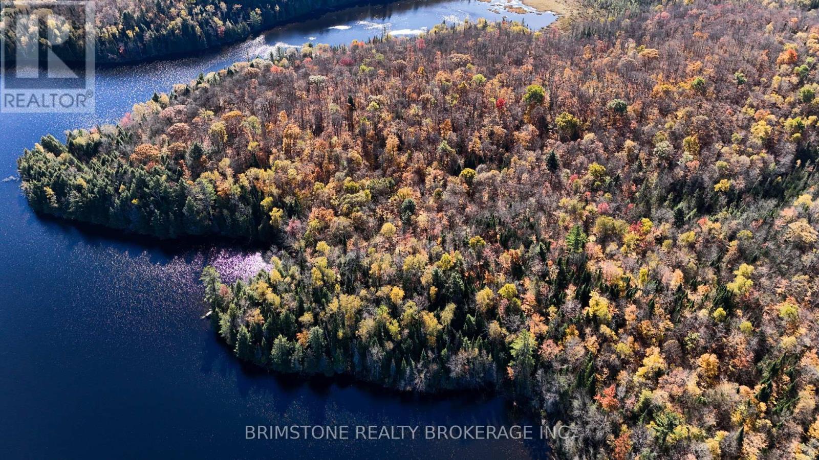 Row Over 1741 Paint Lake Rd Road, Lake Of Bays, ON