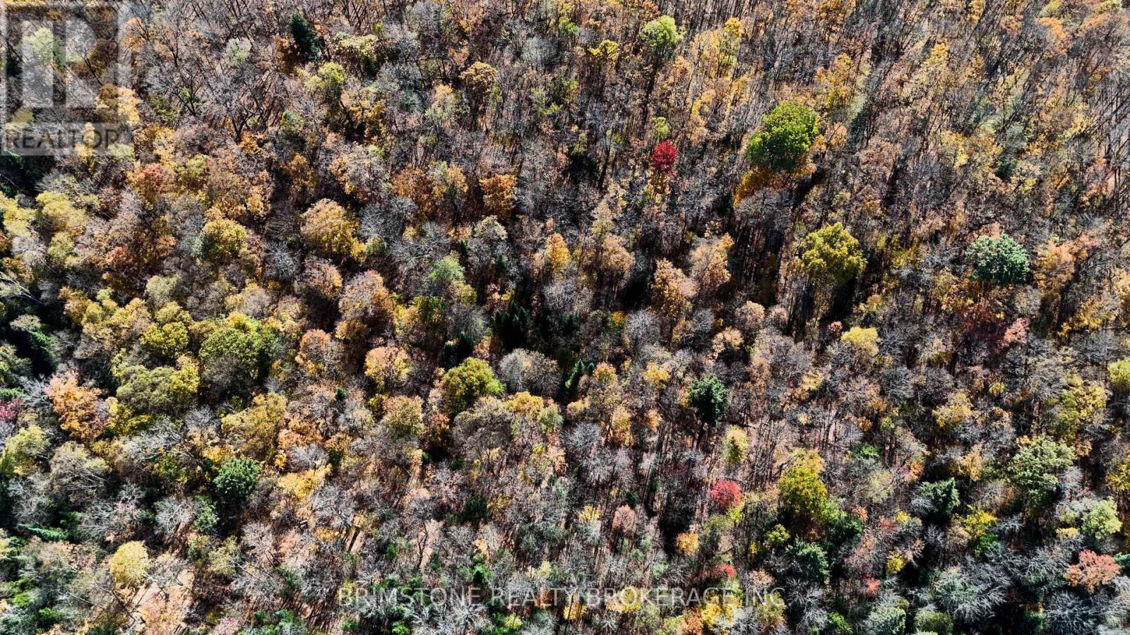 Row Over 1741 Paint Lake Rd Road, Lake Of Bays, ON