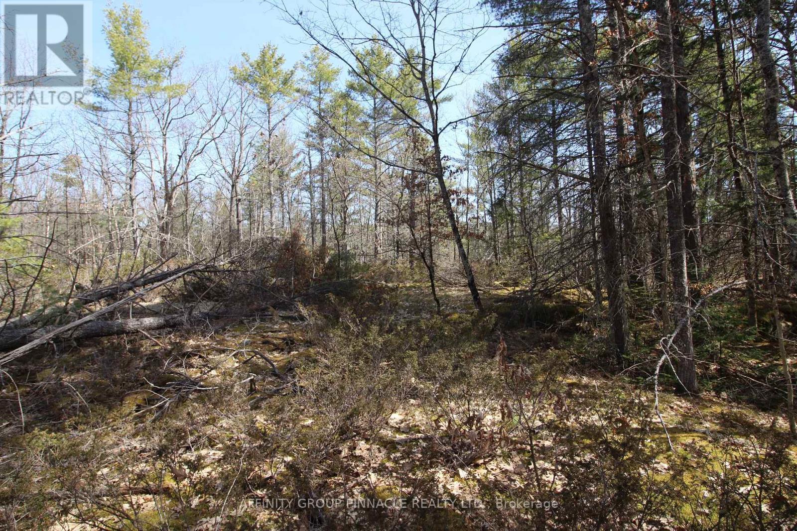 Lot 15 Concession 9, Trent Lakes, ON