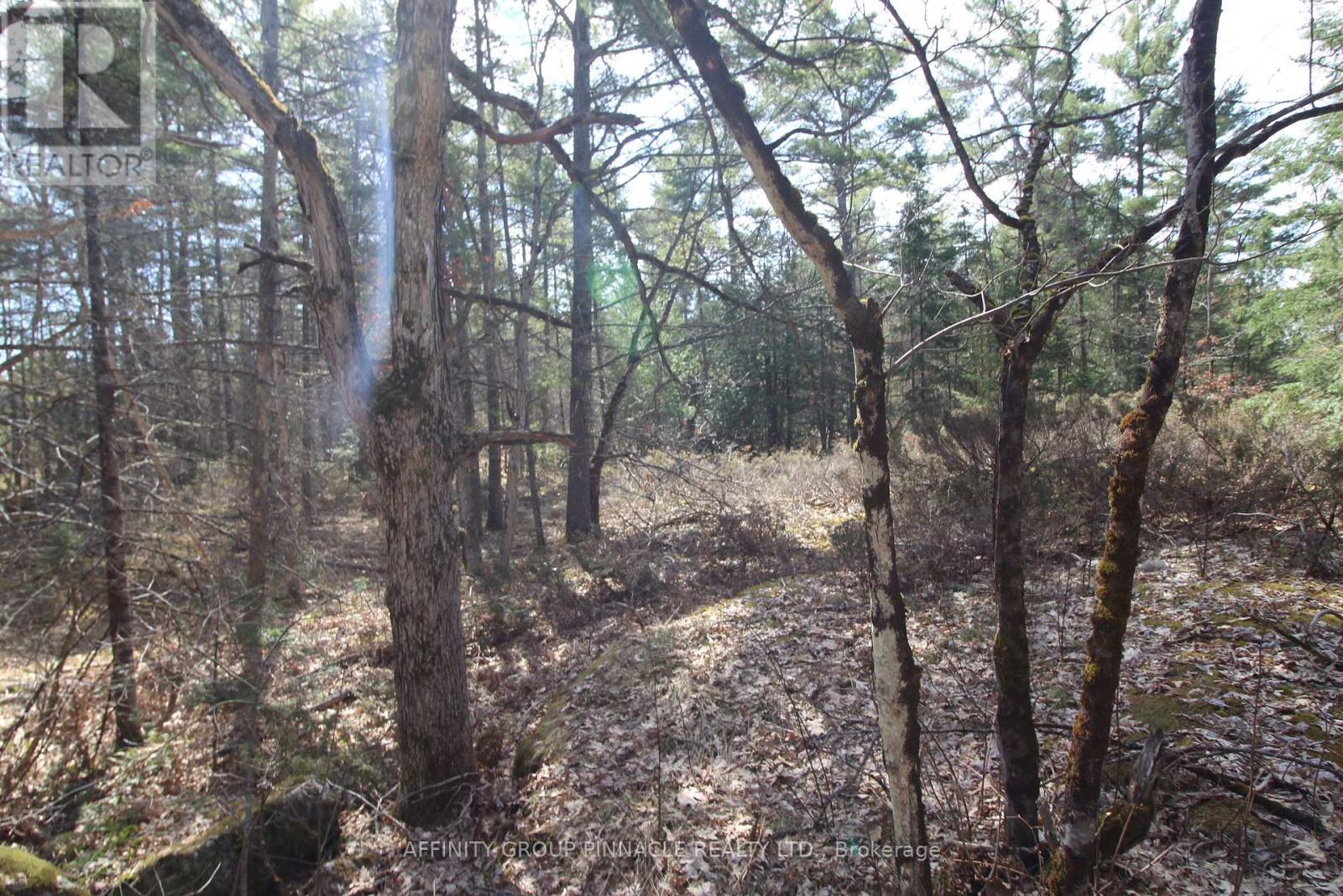 Lot 15 Concession 9, Trent Lakes, ON