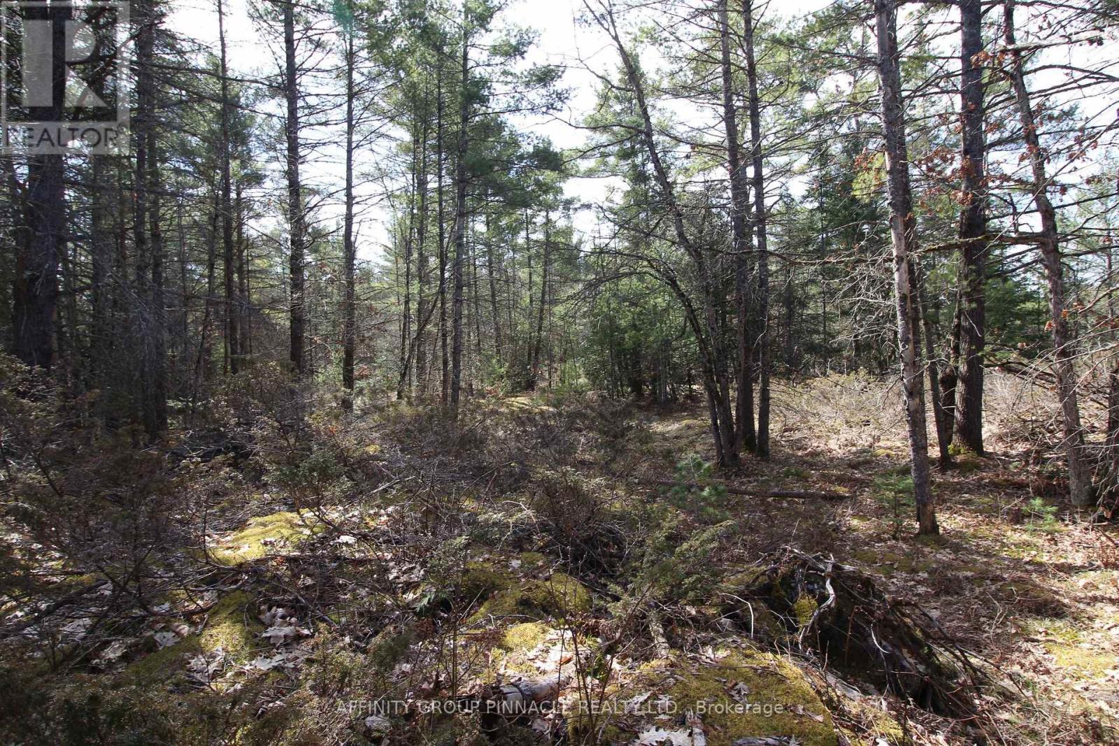 Lot 15 Concession 9, Trent Lakes, ON