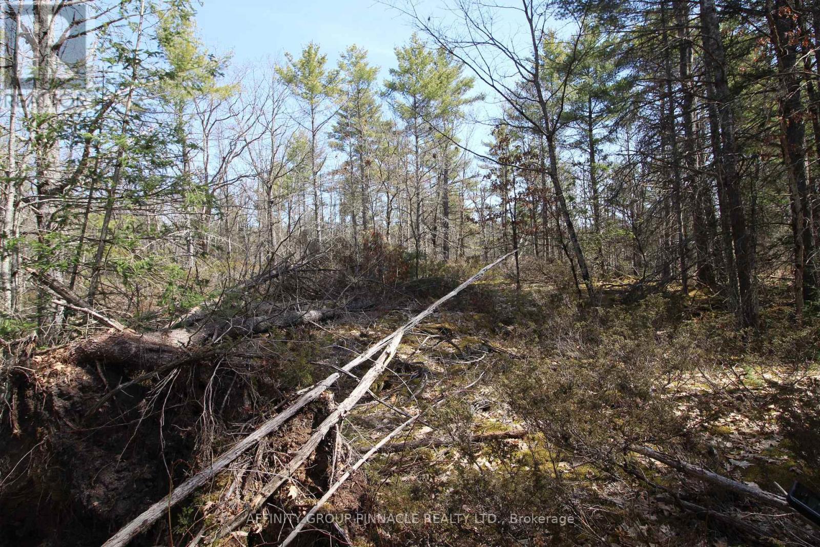 Lot 15 Concession 9, Trent Lakes, ON