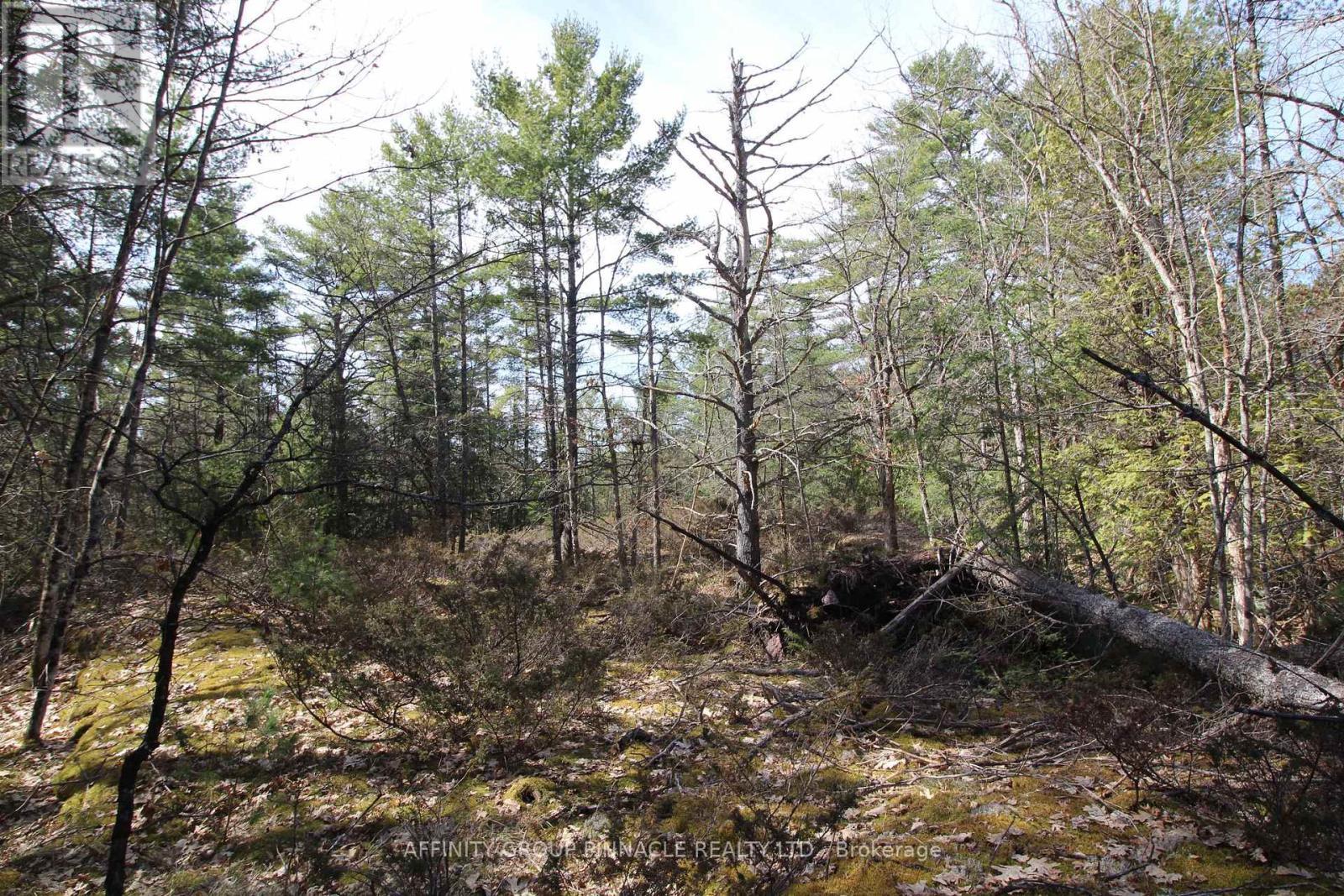 Lot 15 Concession 9, Trent Lakes, ON