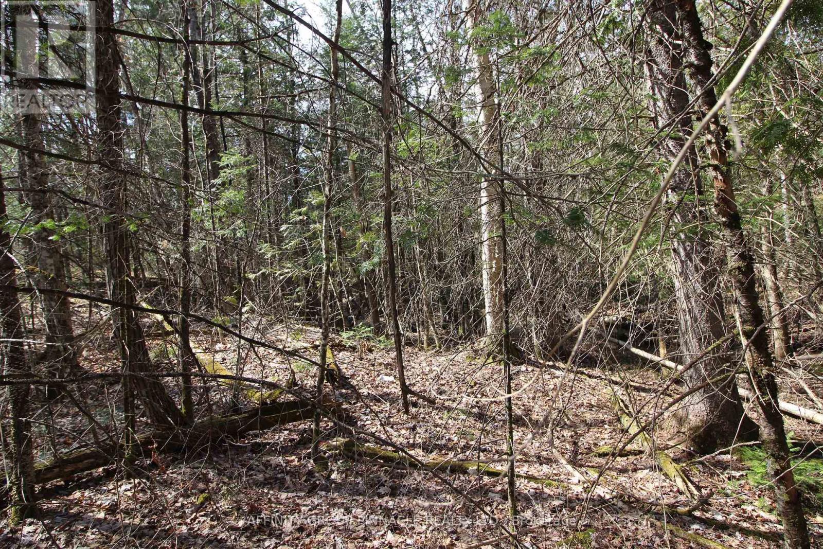Lot 15 Concession 9, Trent Lakes, ON