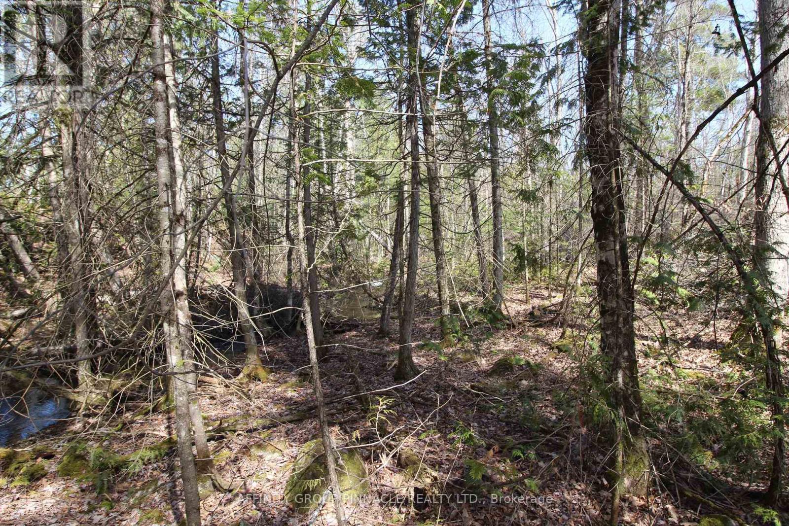 Lot 15 Concession 9, Trent Lakes, ON