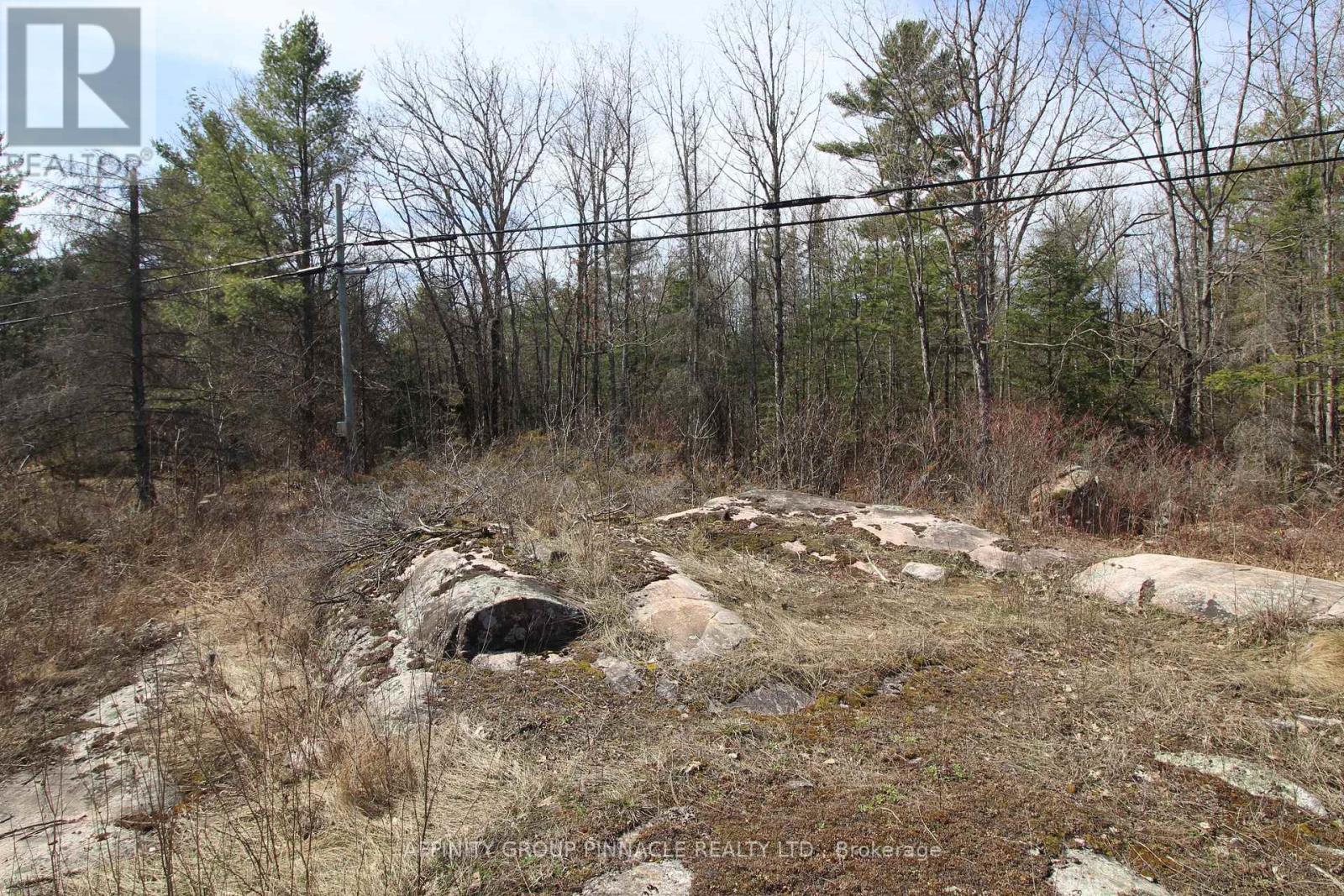 Lot 15 Concession 9, Trent Lakes, ON
