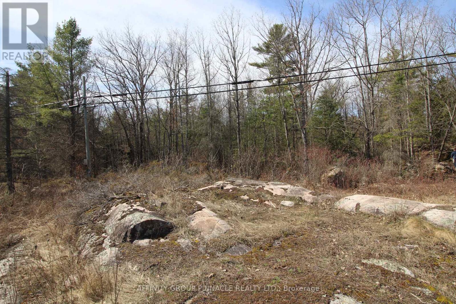 Lot 15 Concession 9, Trent Lakes, ON