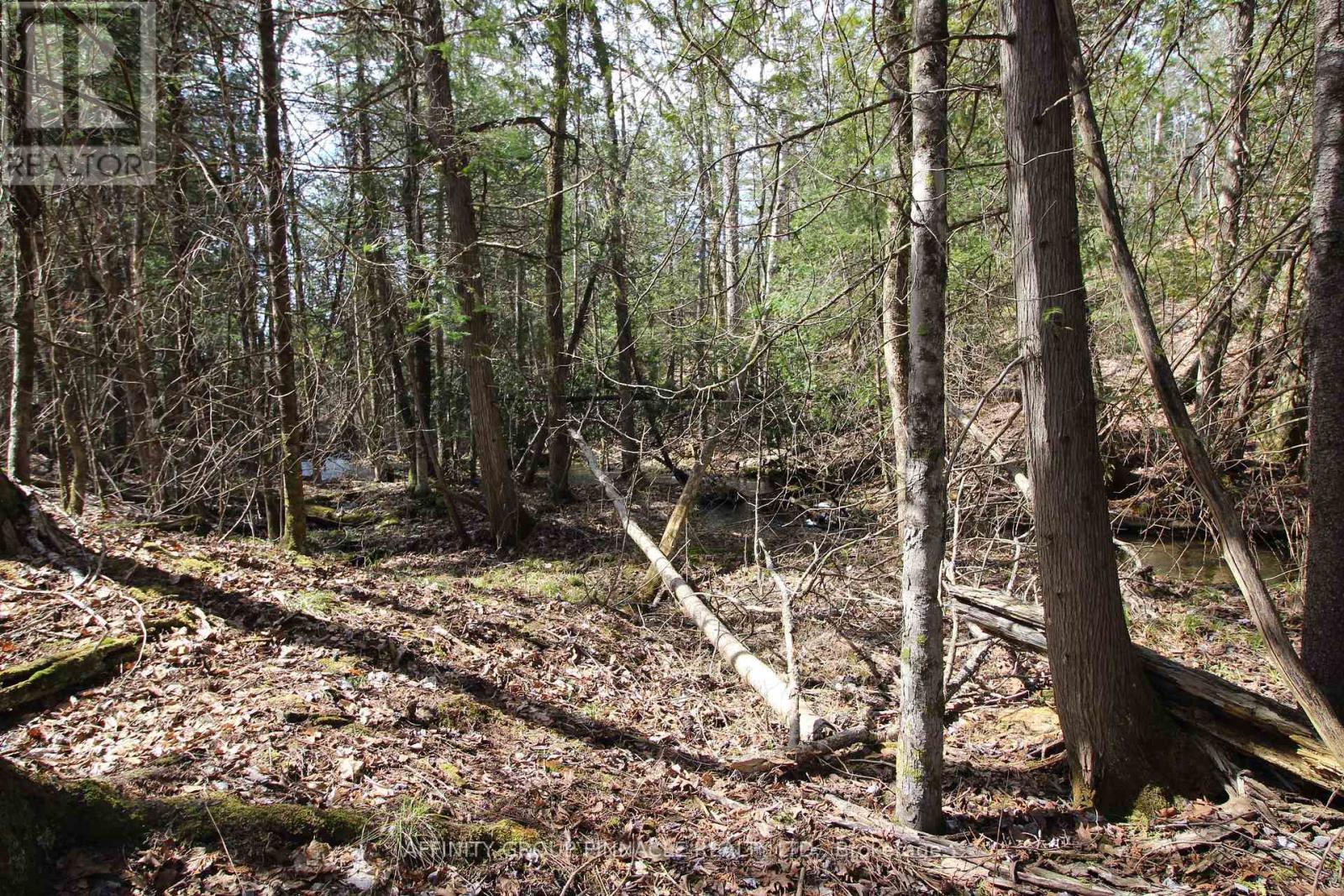 Lot 15 Concession 9, Trent Lakes, ON
