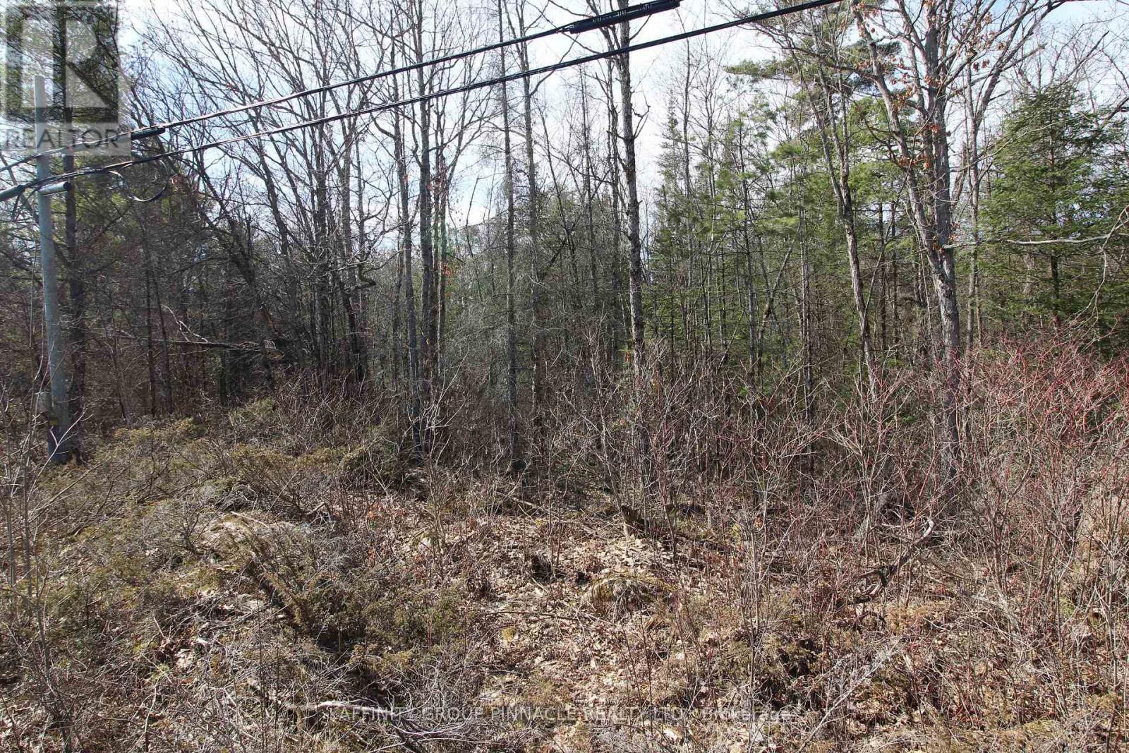 Lot 15 Concession 9, Trent Lakes, ON