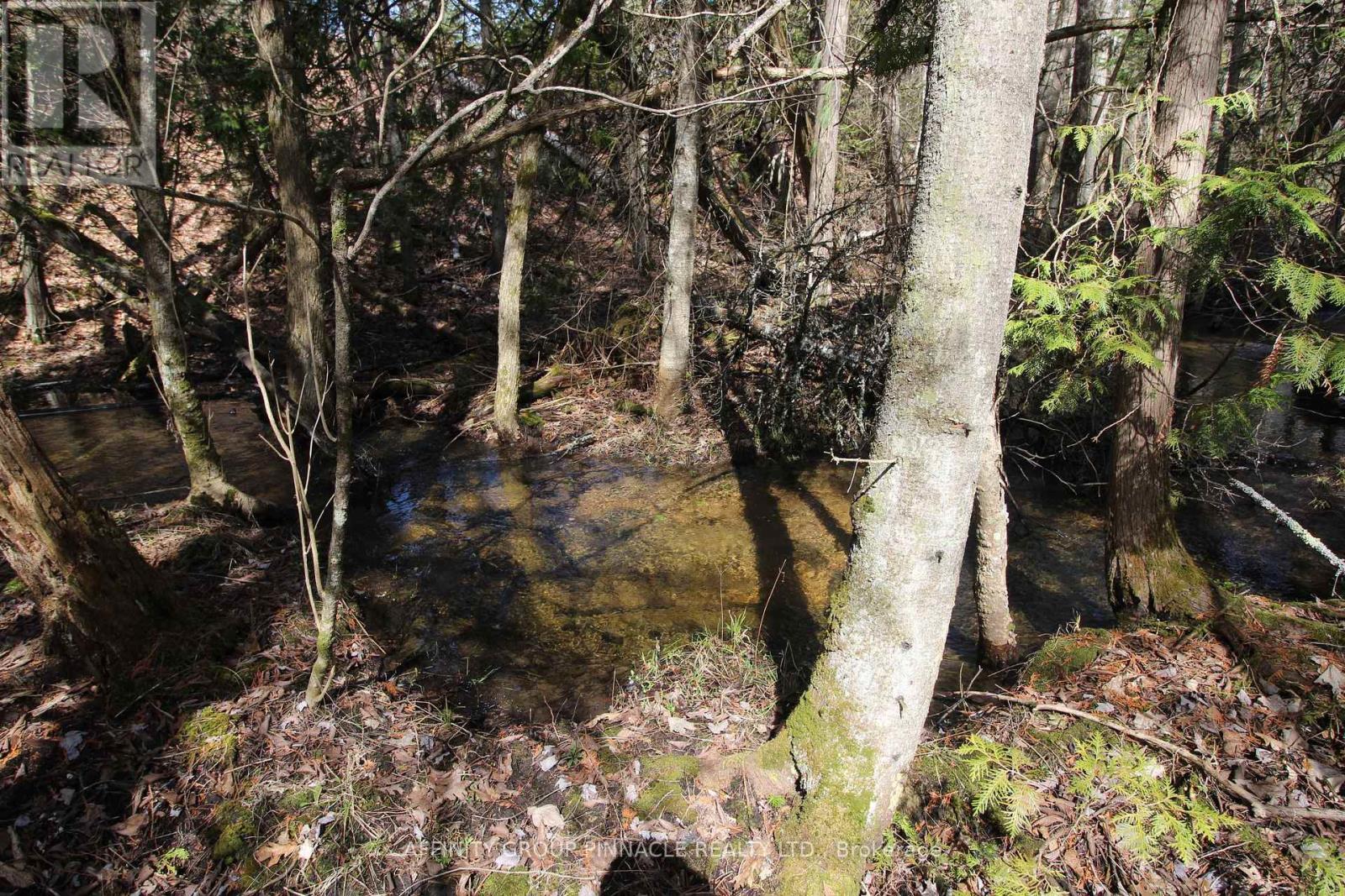 Lot 15 Concession 9, Trent Lakes, ON