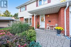 Well Kept Landscaping & Garden. -