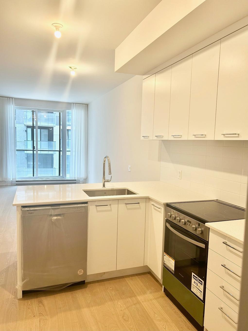 Overall view - 329B-1485 Rue Des Bassins, Montréal (Le Sud-Ouest), QC - Indoor Photo Showing Kitchen