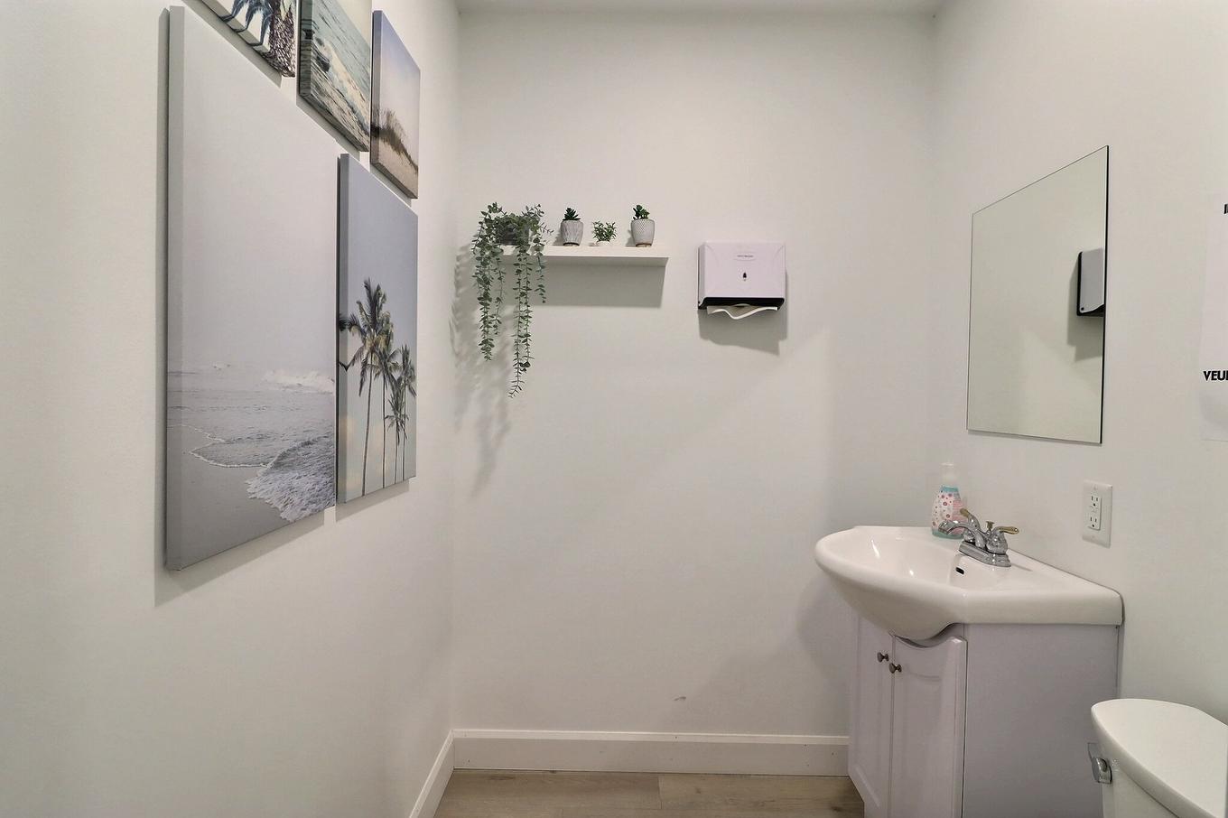 Salle de bains - 811 Av. Taniata, Lévis (Les Chutes-De-La-Chaudière-Est), QC - Indoor Photo Showing Bathroom