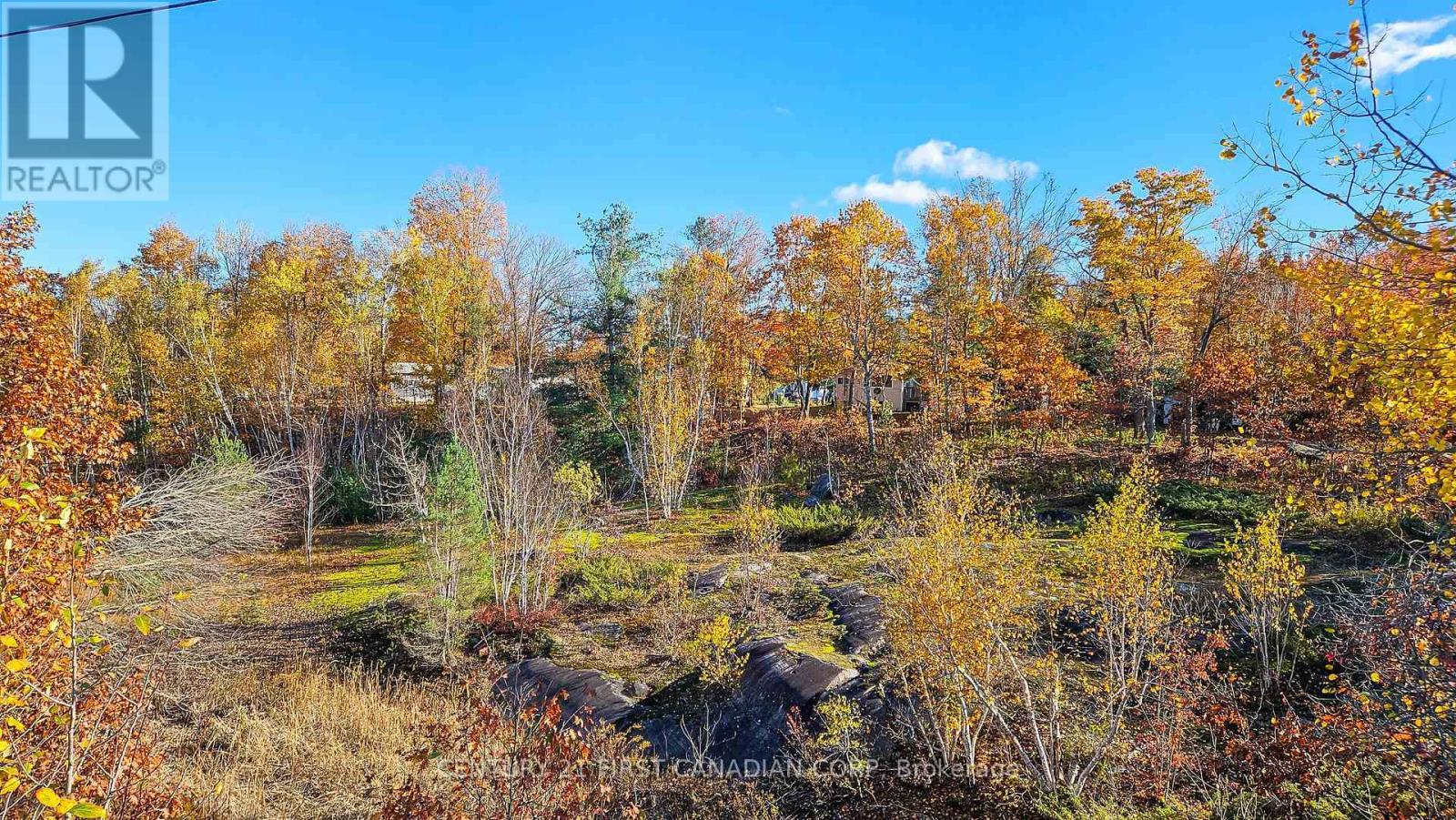 45 Tower Road, Georgian Bay (Freeman), ON