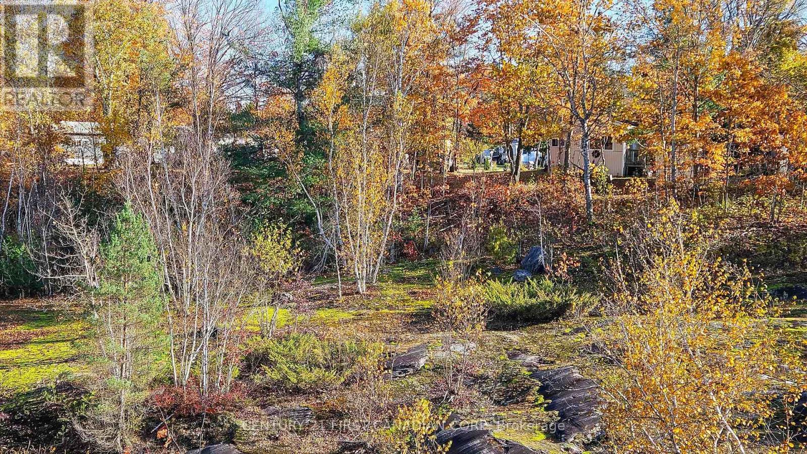 45 Tower Road, Georgian Bay (Freeman), ON