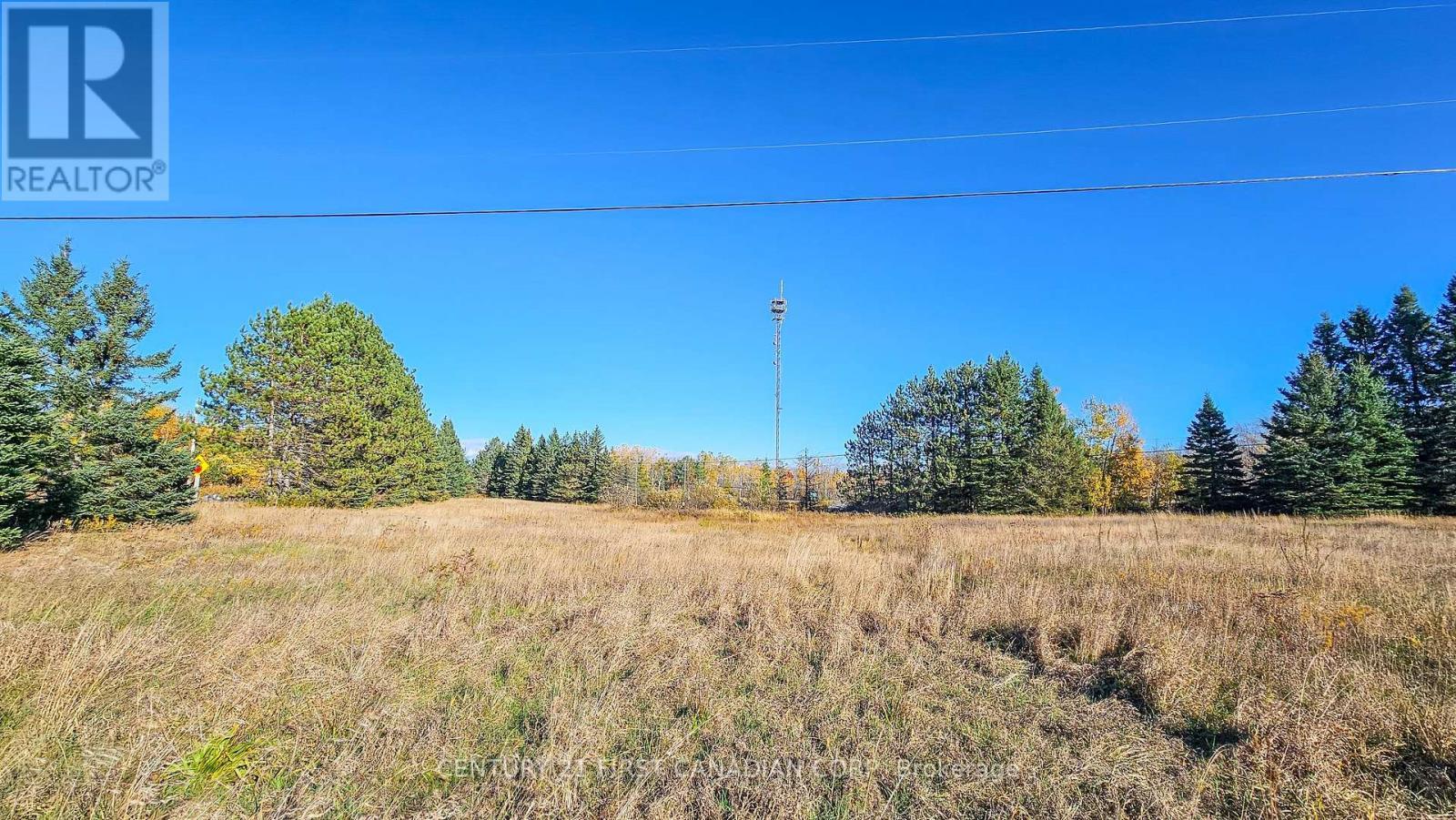 45 Tower Road, Georgian Bay (Freeman), ON