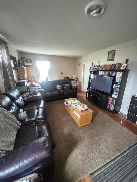 611 42Nd Street, Brandon, MB - Indoor Photo Showing Living Room