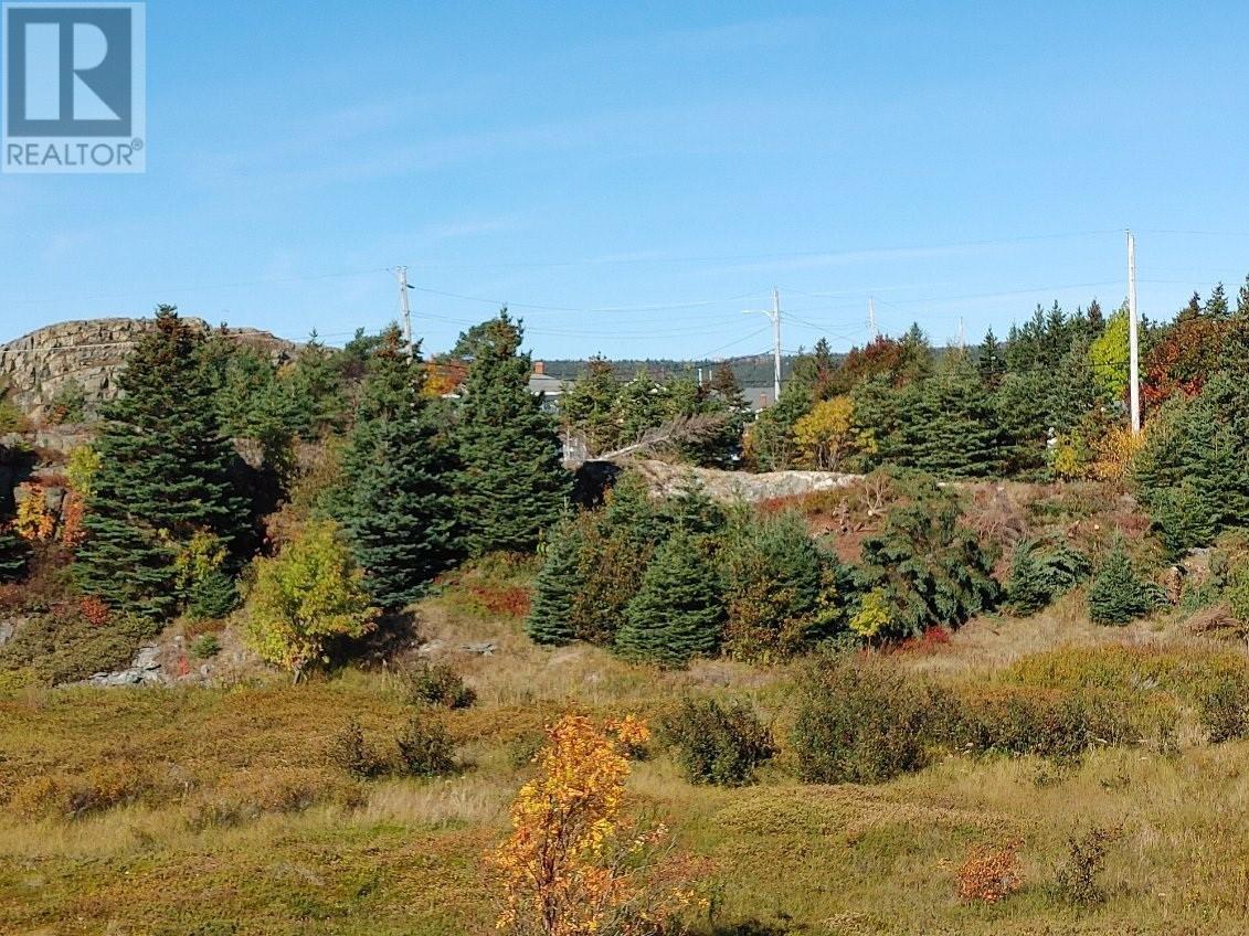 742-744 Water Street, Bay Roberts, NL