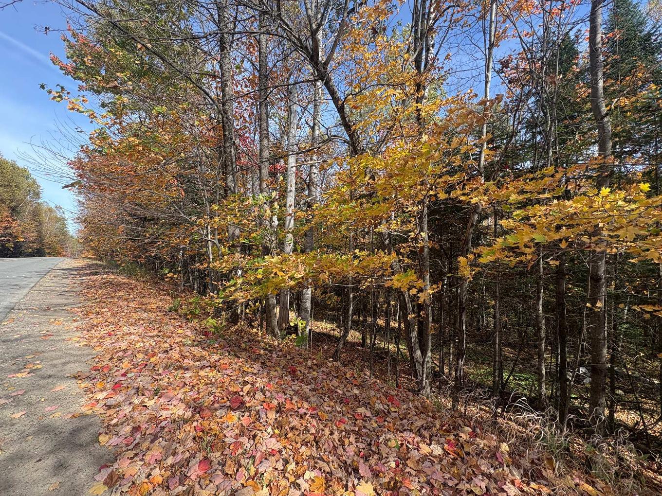 Terre/Terrain - Ch. De La Sauvagine, Mont-Blanc, QC
