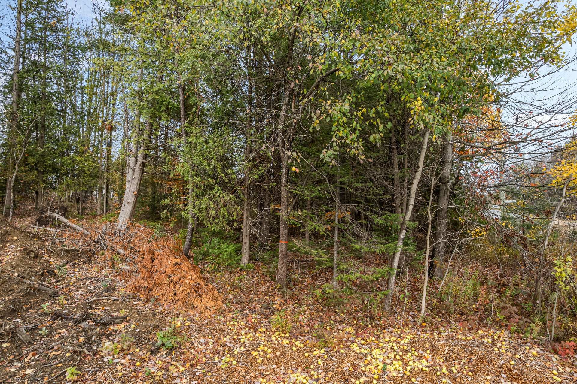 Photo aérienne - Ch. Southière, Magog, QC