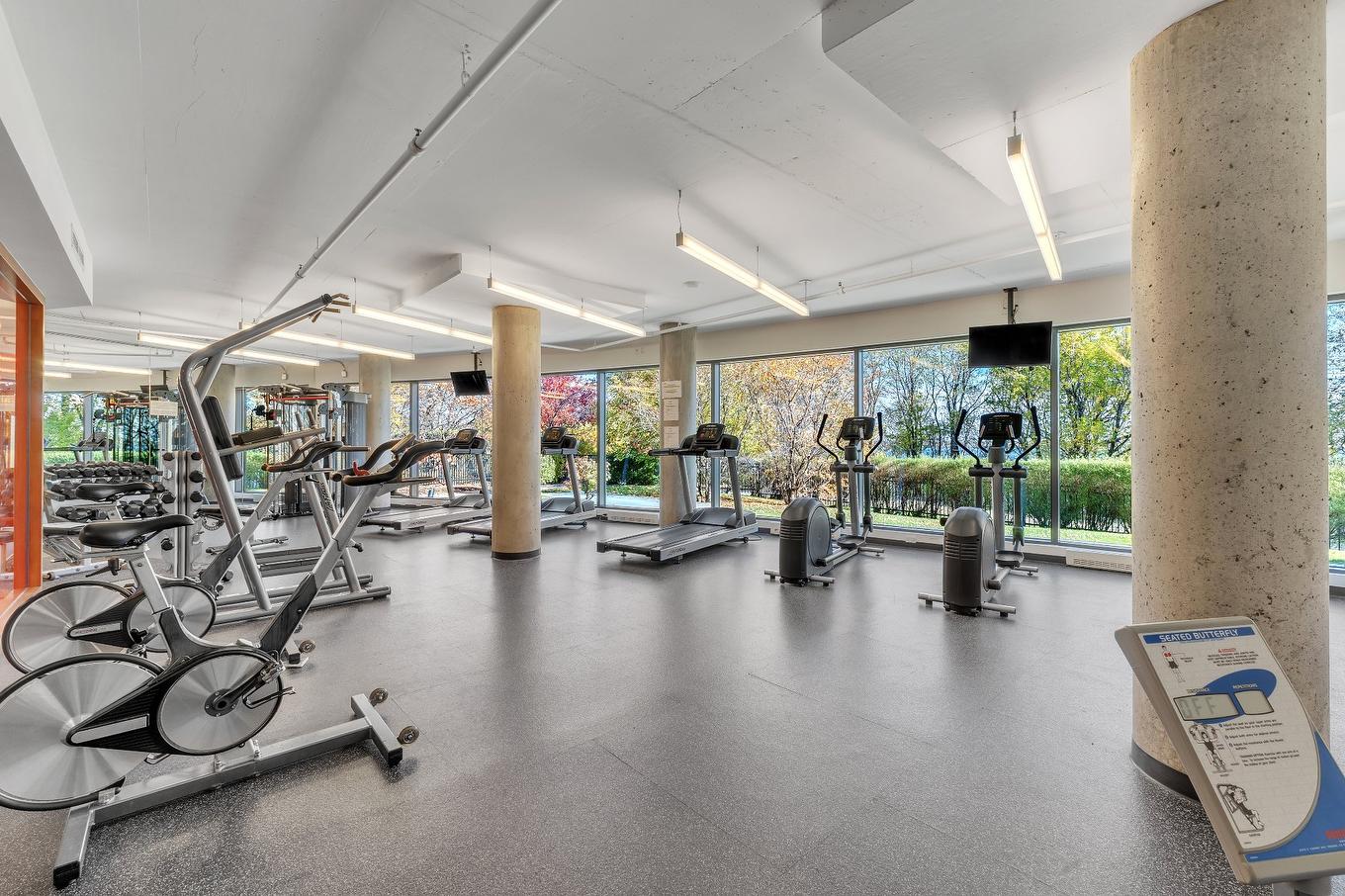 Salle d'exercice - 806-299 Rue De La Rotonde, Montréal (Verdun/Île-Des-Soeurs), QC - Indoor Photo Showing Gym Room