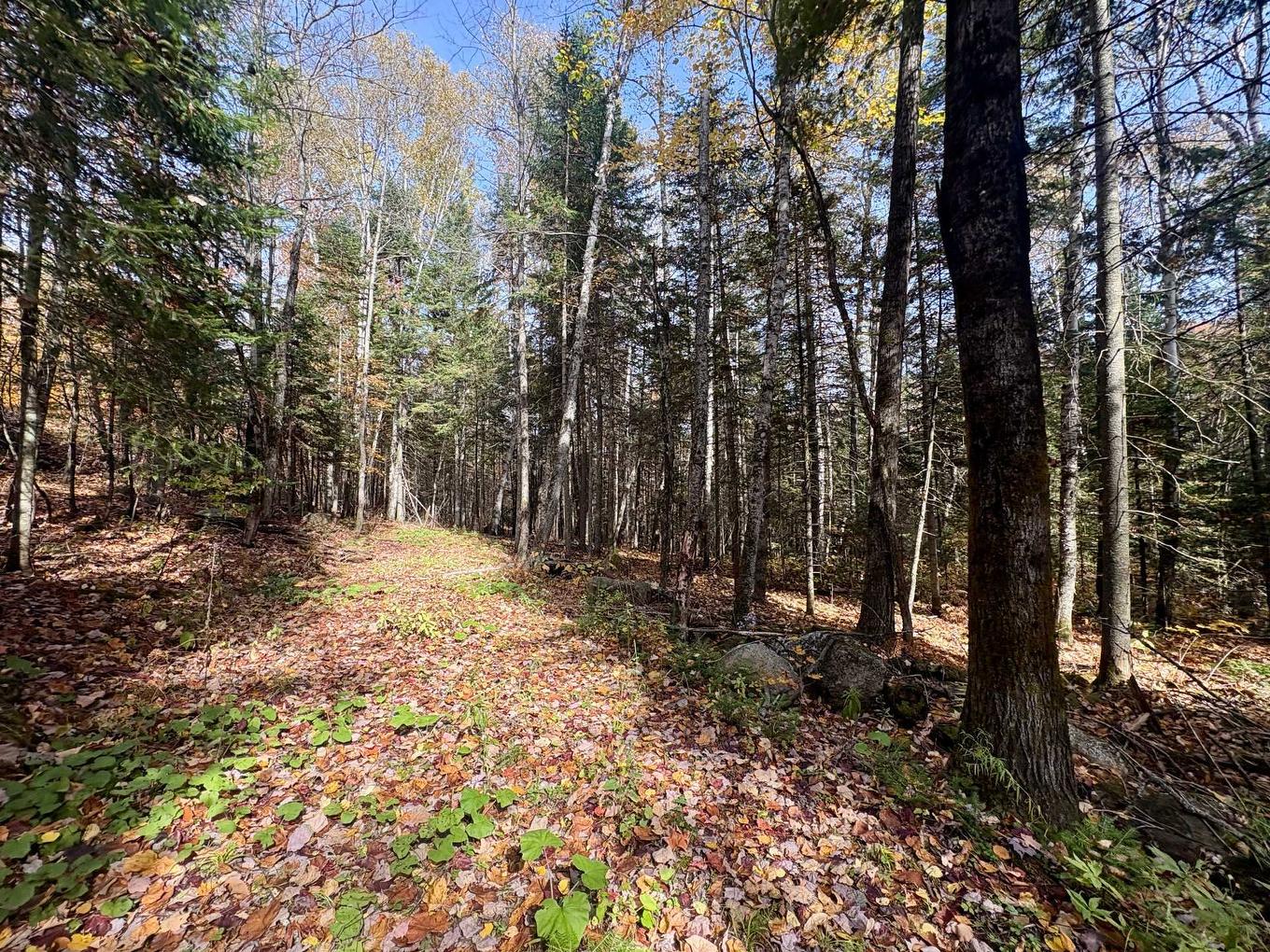 Land/Lot - Ch. De La Sauvagine, Mont-Blanc, QC
