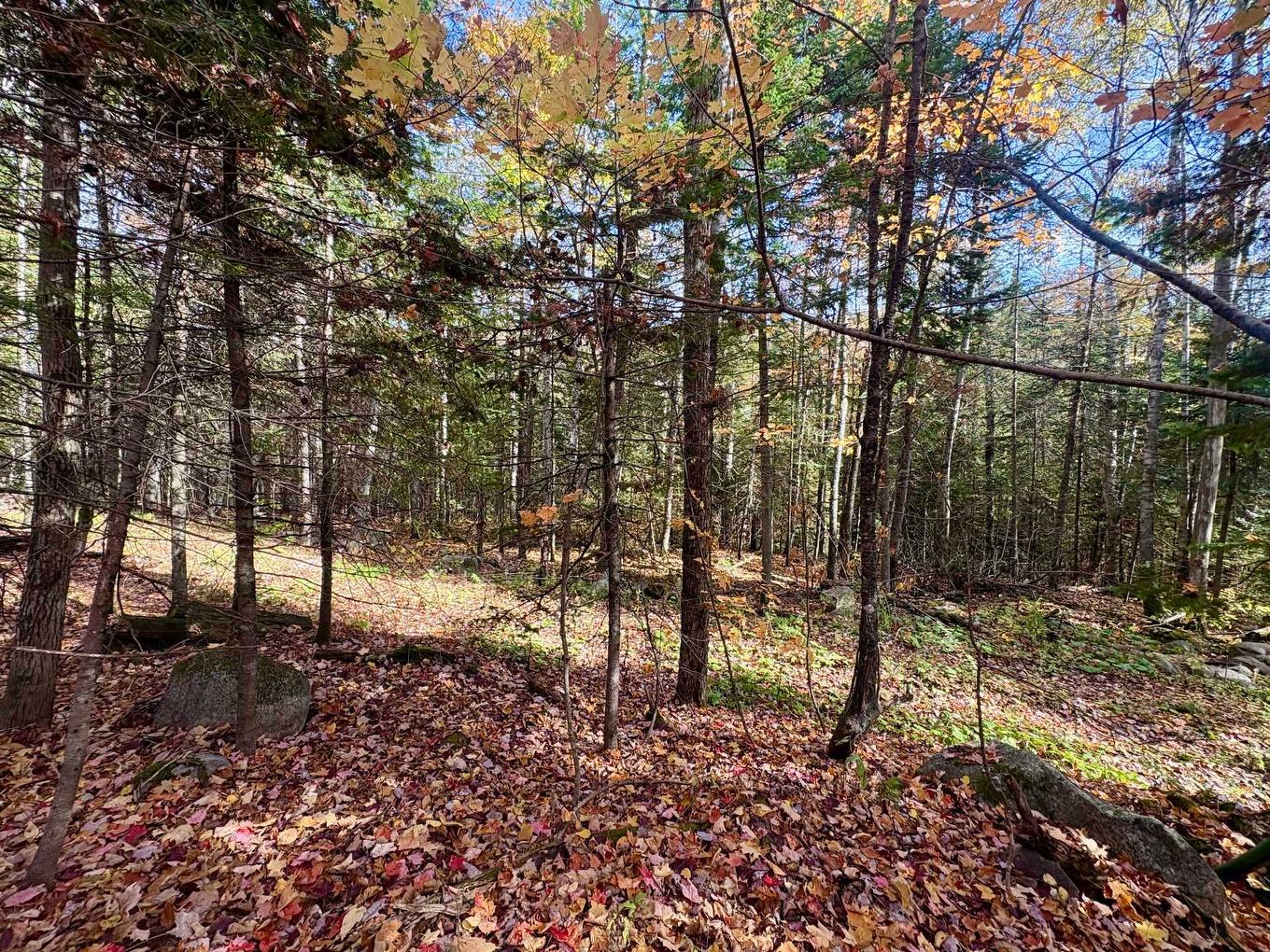 Land/Lot - Ch. De La Sauvagine, Mont-Blanc, QC